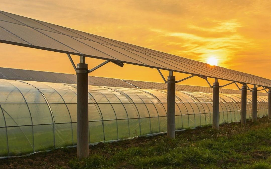 A Greener Green: Solar Power The Best Option For Cannabis Sustainability | Big Buds Mag